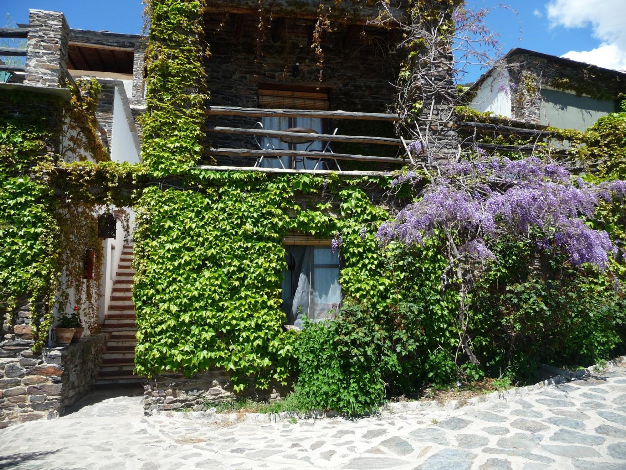 Casa Rural Catifalarga Alpujarra 카피레이라 외부 사진