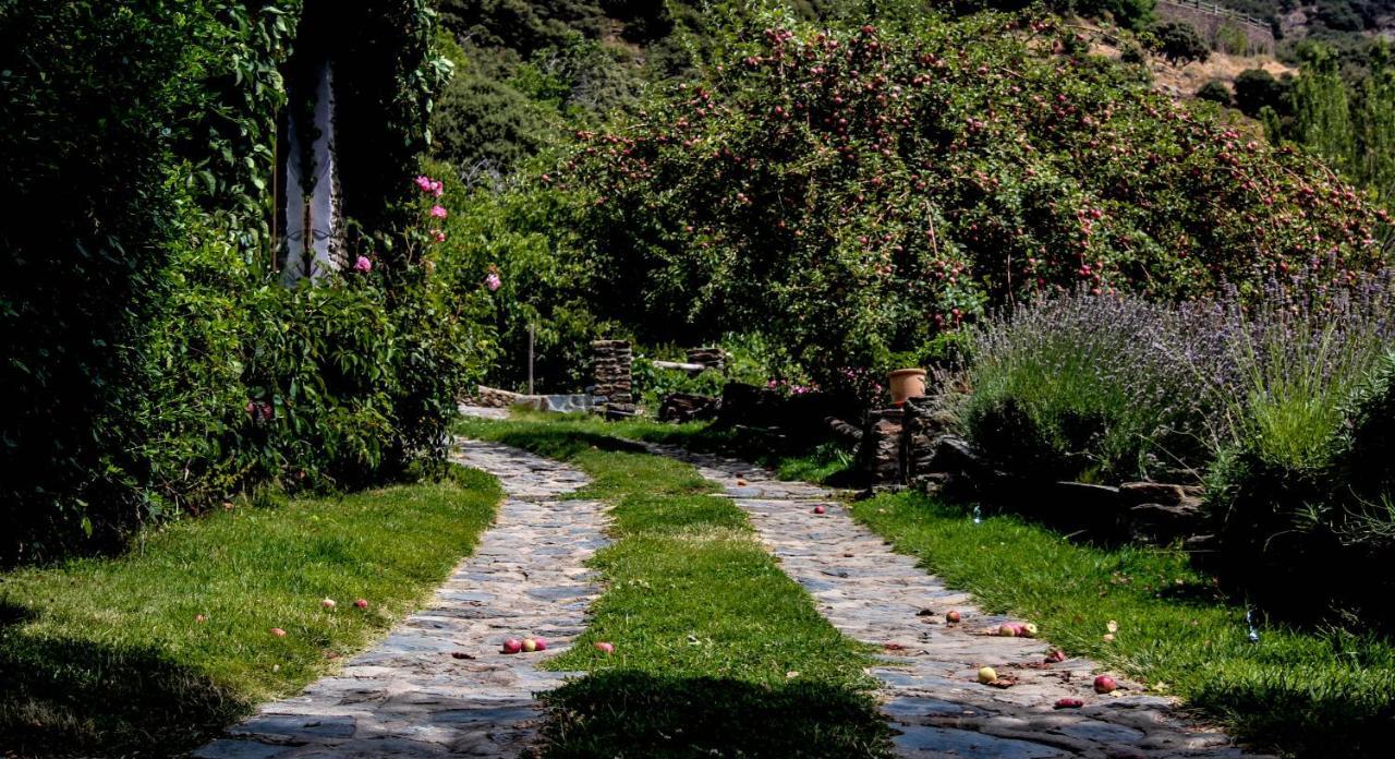 Casa Rural Catifalarga Alpujarra 카피레이라 외부 사진