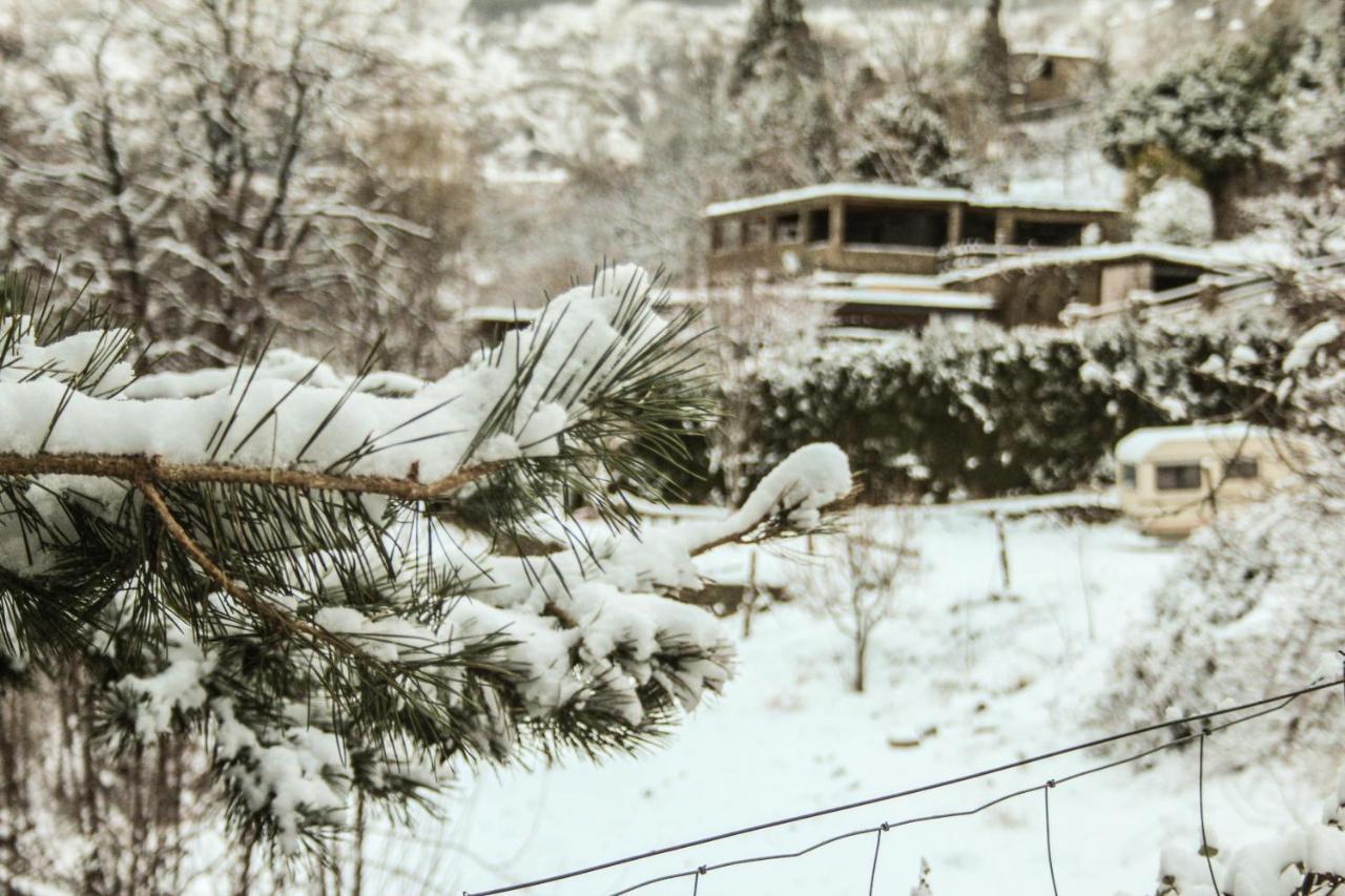 Casa Rural Catifalarga Alpujarra 카피레이라 외부 사진