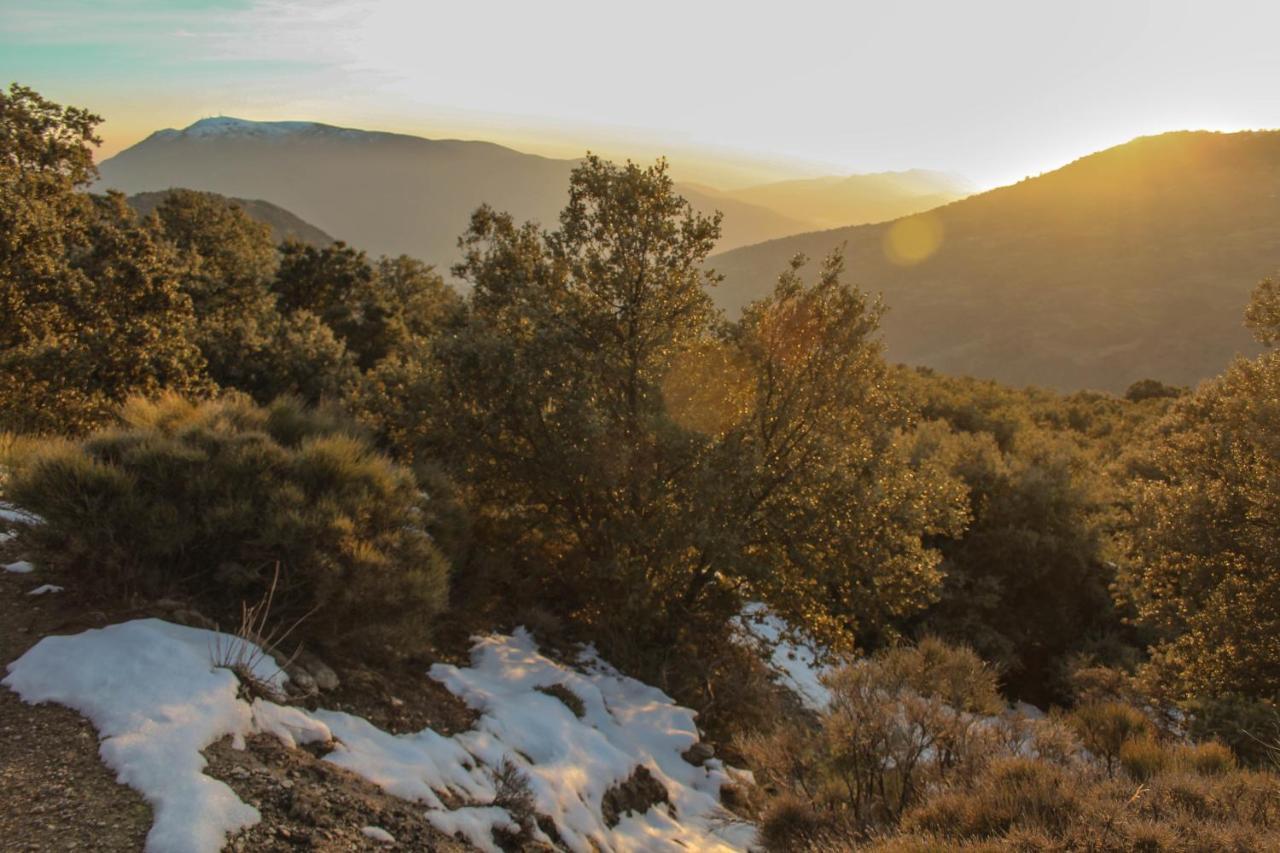 Casa Rural Catifalarga Alpujarra 카피레이라 외부 사진